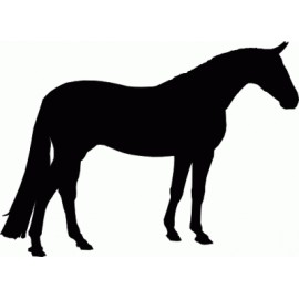Silhouettes décoratives 50 cm à l'effigie des chevaux